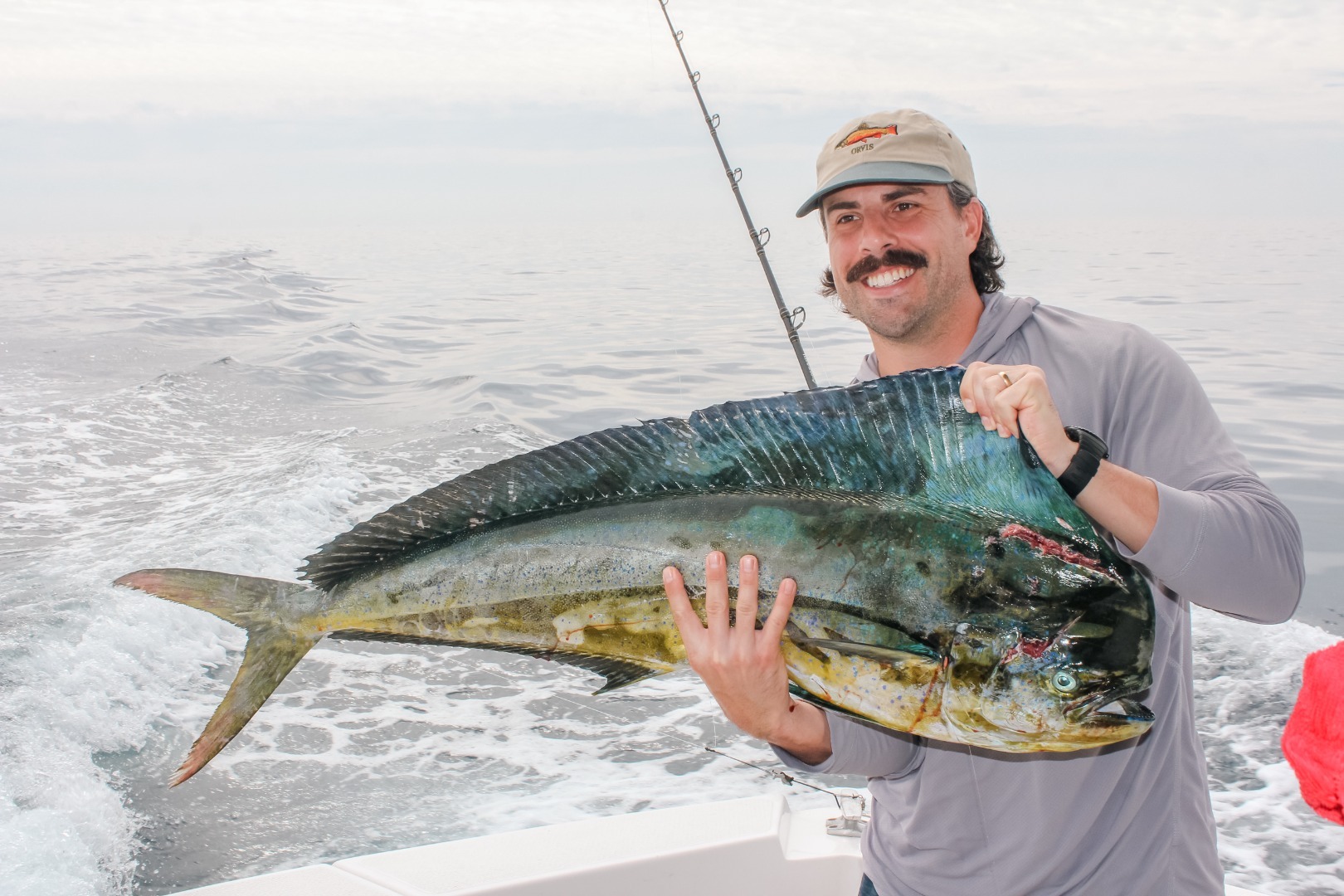 Dorado Action Sparks a Cabo Celebration!