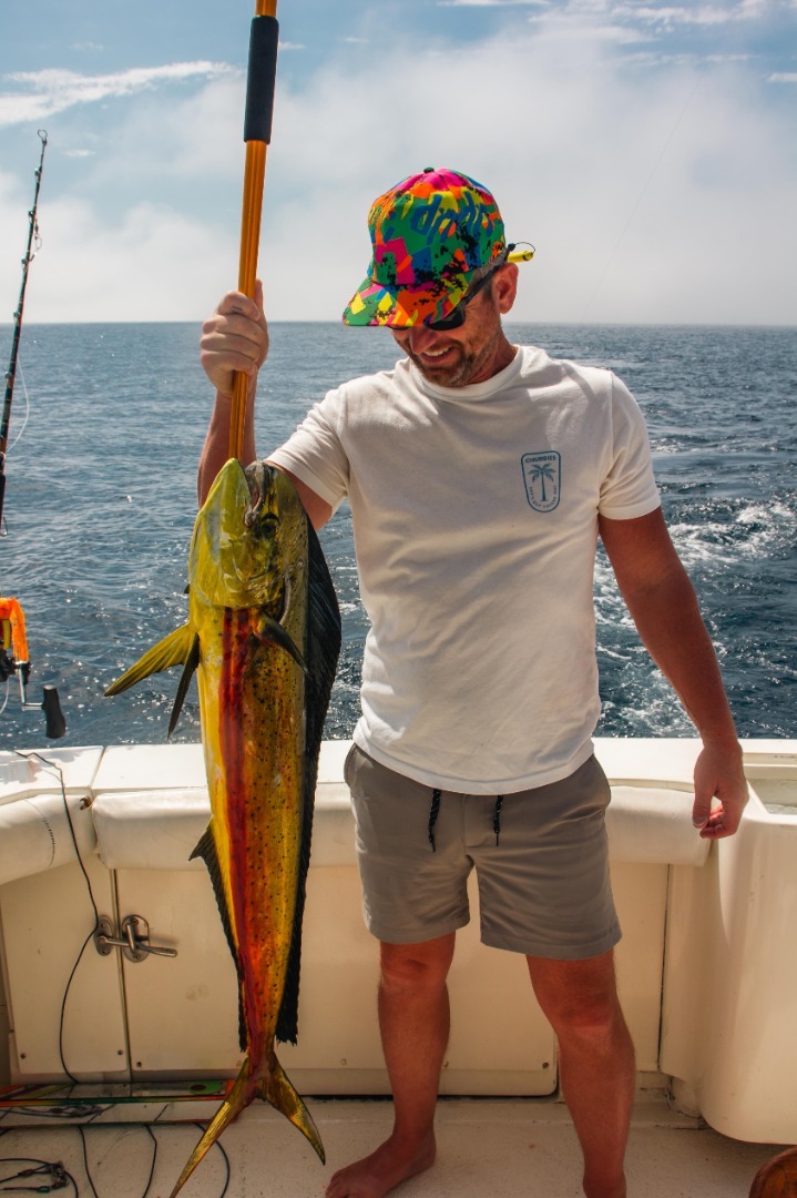 Cabo Comes Alive with Golden Action!