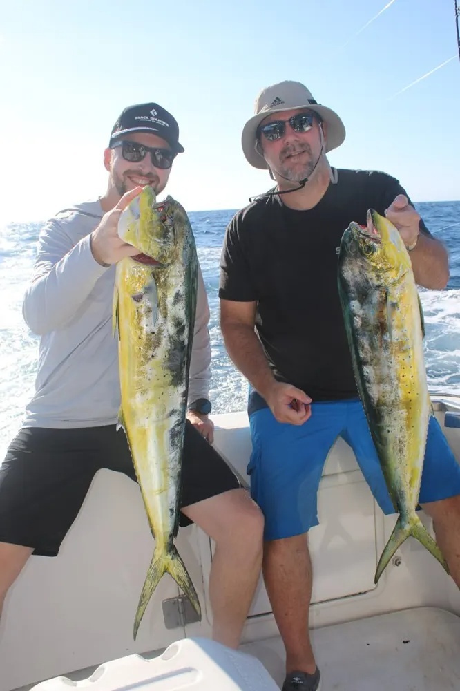 Marlin Encounters Light Up the Day!