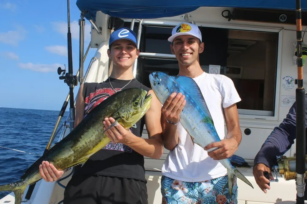 Cabo's Dorado Strike Lights the Fuse!
