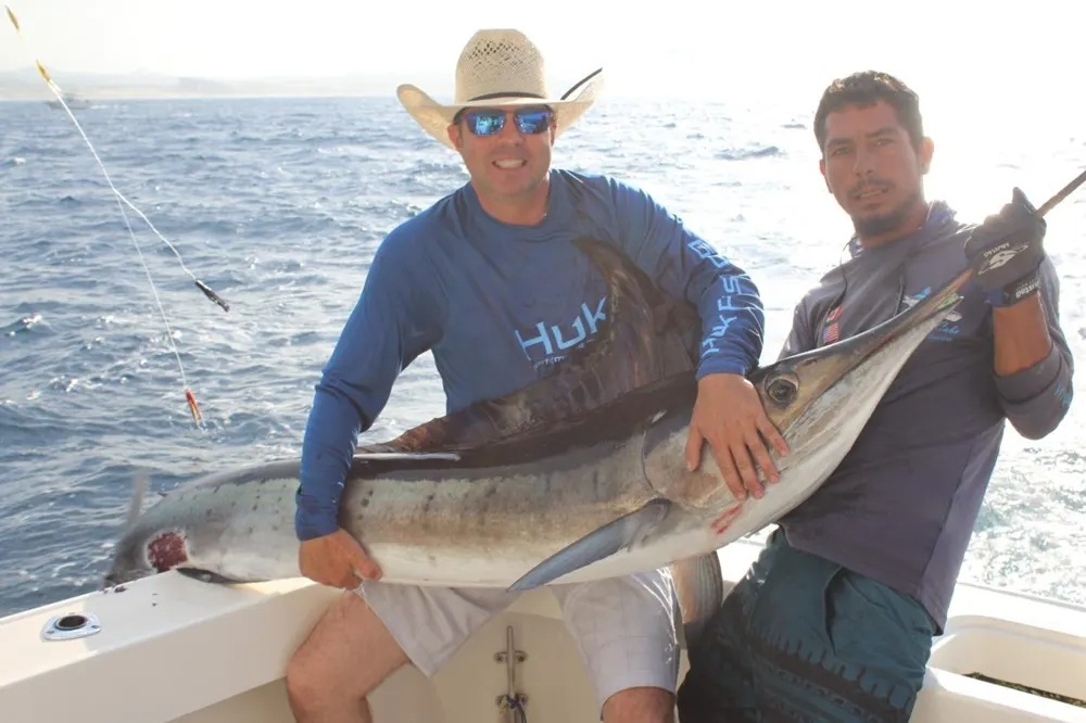 Cabo's Marlin Action Keeps Rolling!