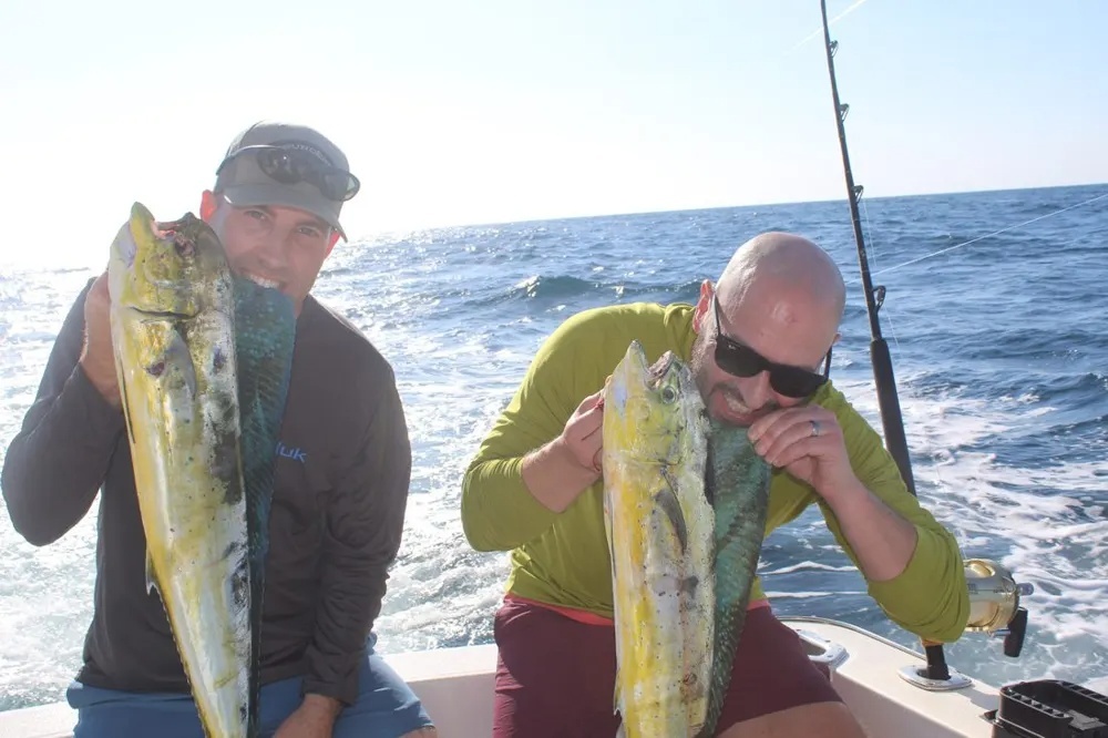 Marlin Glory Meets Dorado Gold