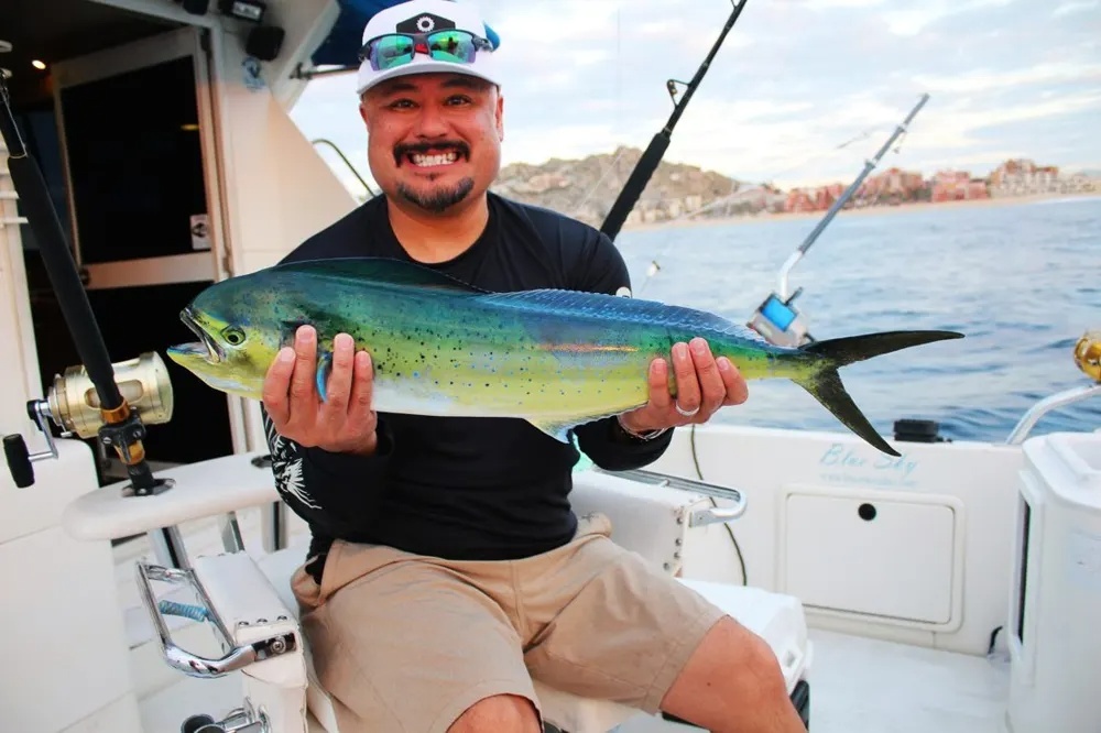 Cabo Dorado and Tuna Action Hits High Gear