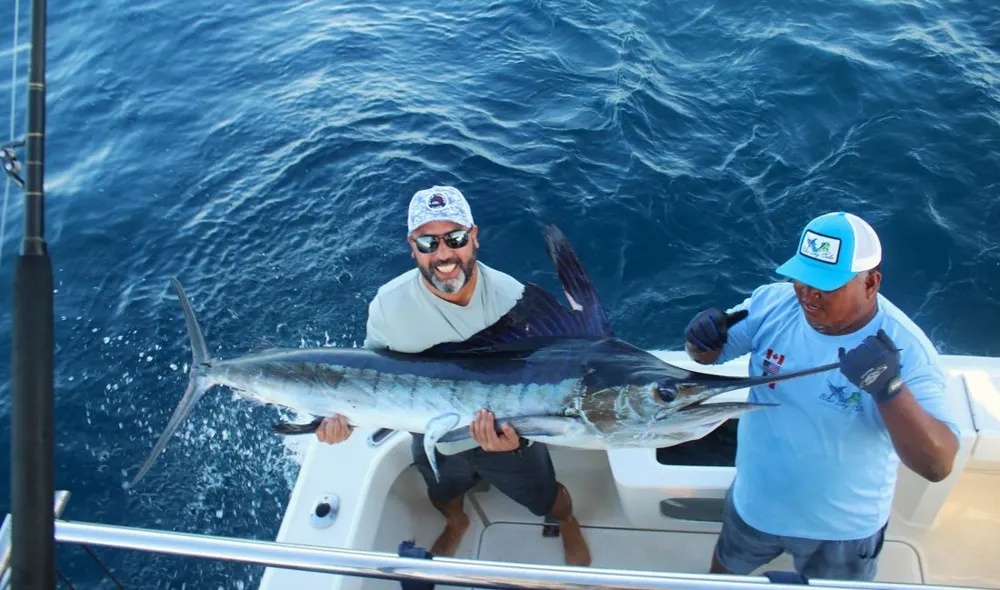 Marlin Fever Takes Over Cabo!