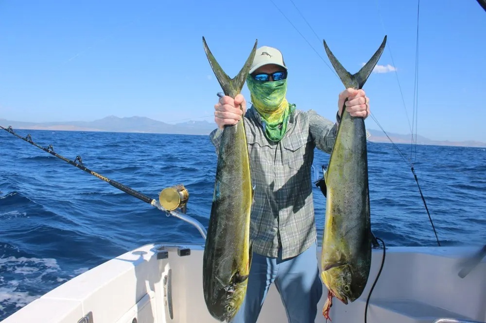 Dorado and Tuna on the Hook and Ready to Fight!