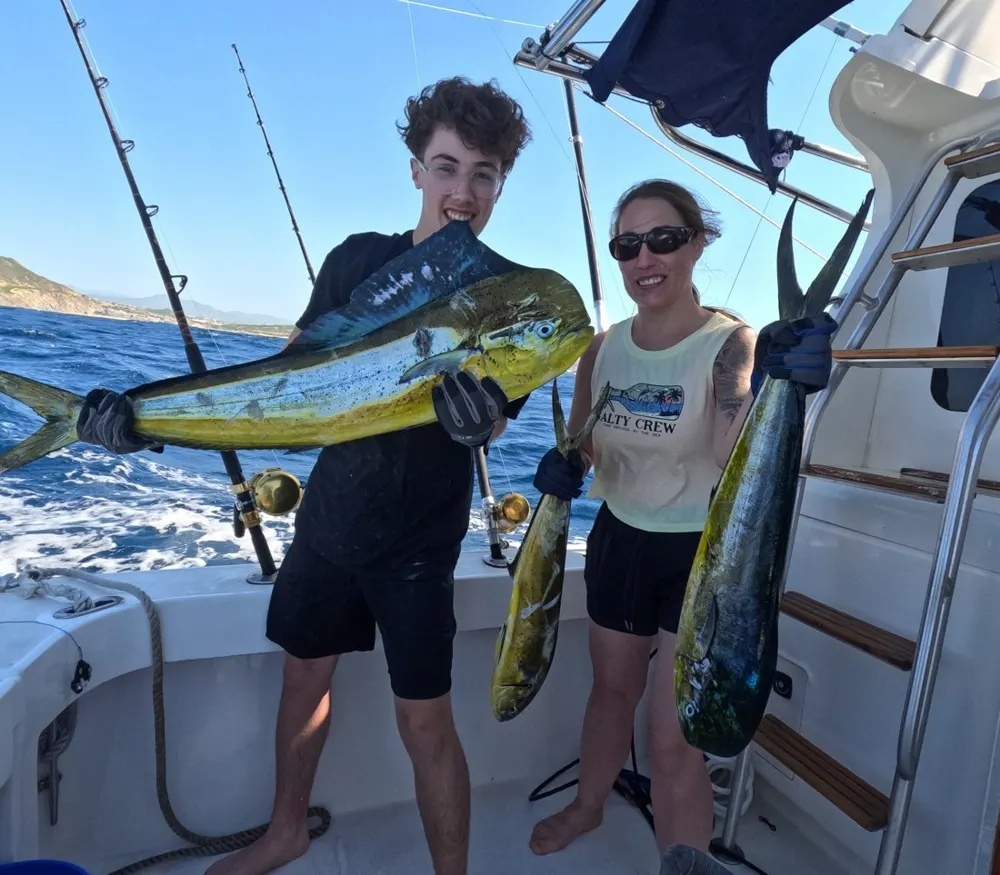 Cabo Comes Alive with Golden Action!