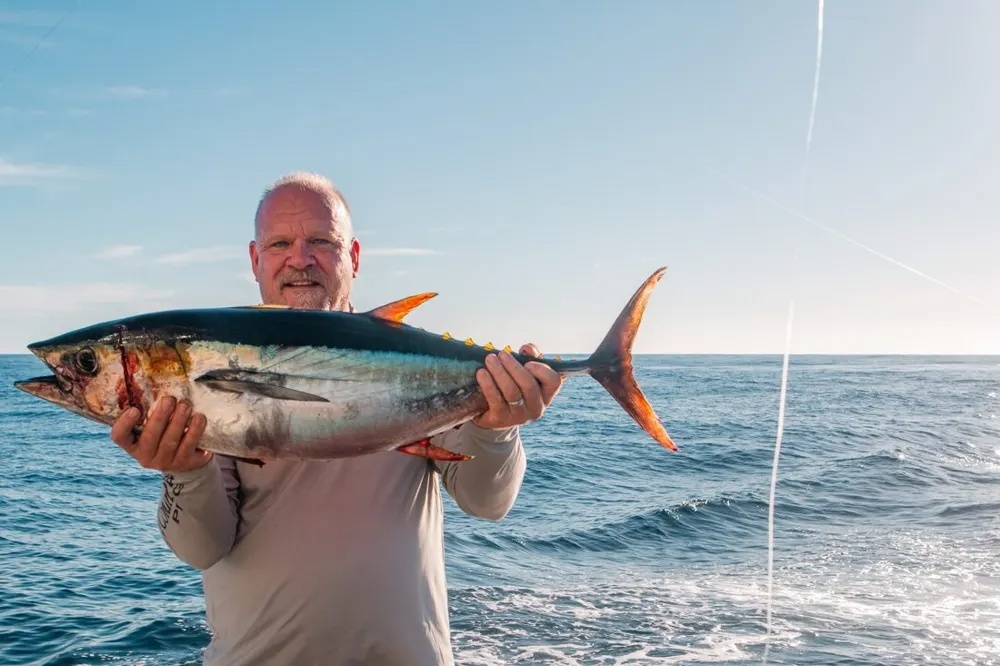 Dorado & Tuna Keep the Pressure On