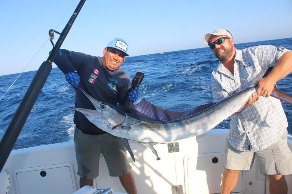 Marlin Battles and Dorado Chaos
