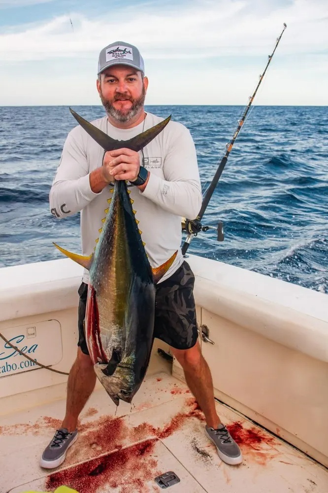 Yellowfin Tuna Set the Pace