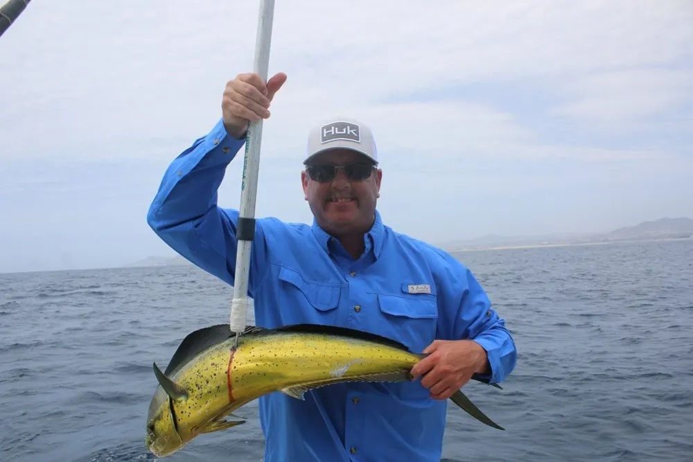Cabo's Dorado Hookup Changes Everything!