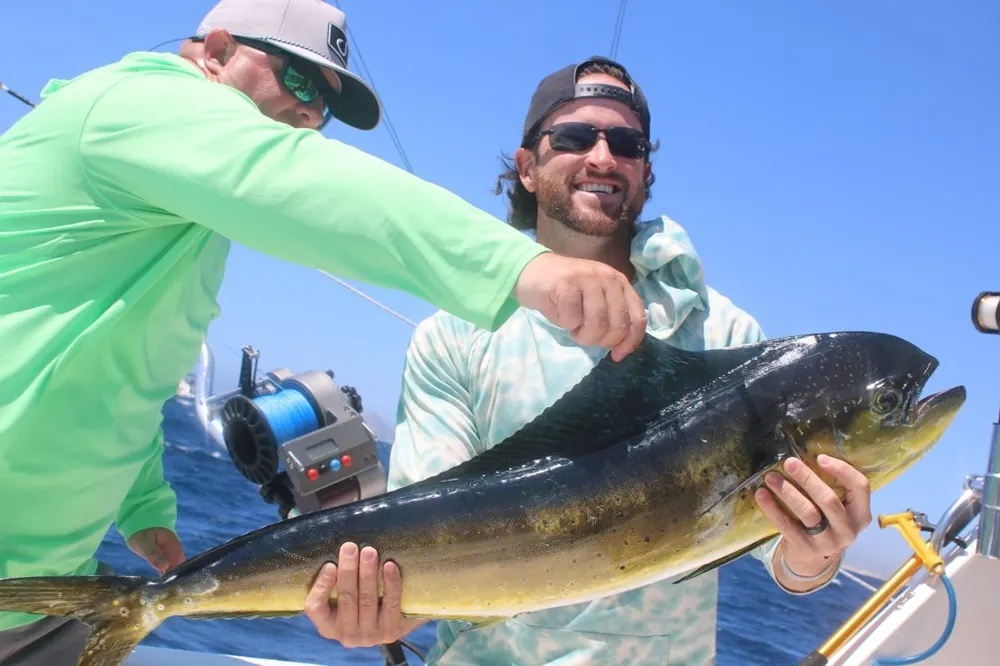 Cabo Marlin Action in Full Swing!