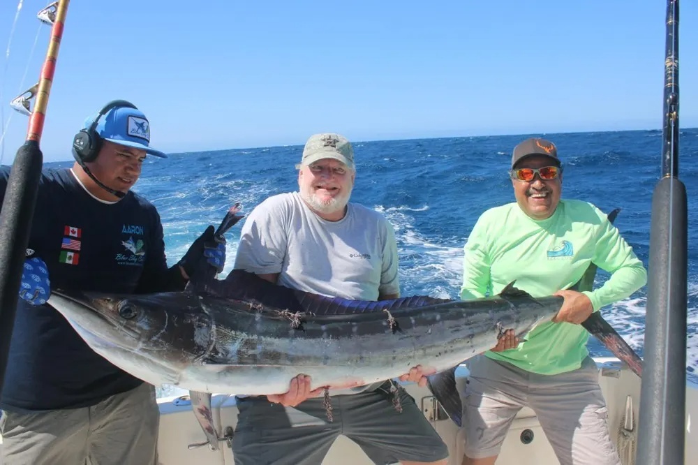Cabo Marlin Fishing Delivers the Thrills!