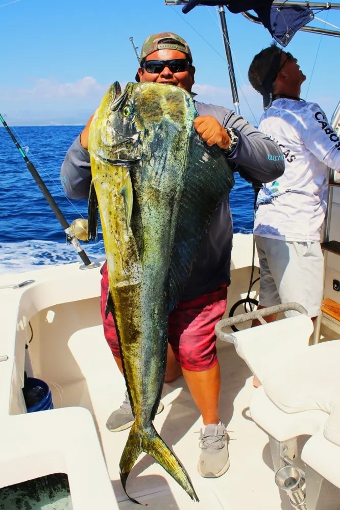 Marlin and Dorado – Double the Adrenaline