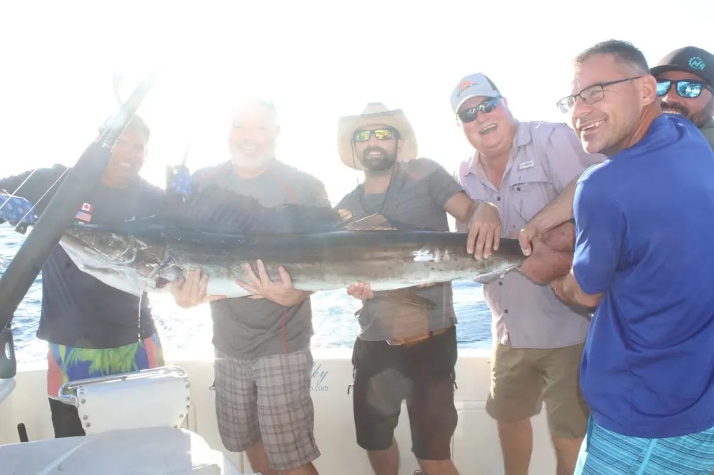 Marlin and Dorado – Two Prized Catches, One Charter