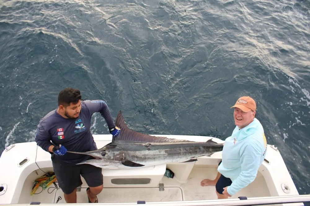 Marlin and Dorado – Two Incredible Pacific Encounters