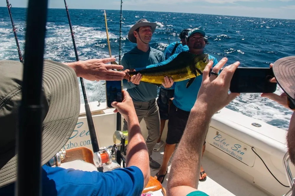 Cabo Dorado Hookup Creates Excitement!