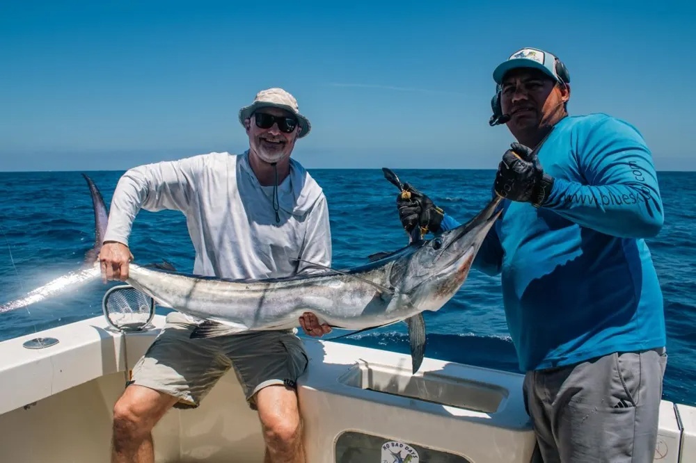 Marlin Power and Dorado Gold Collide