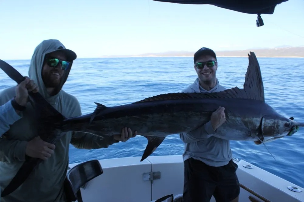 Marlin and Dorado – Pacific Predators Strike
