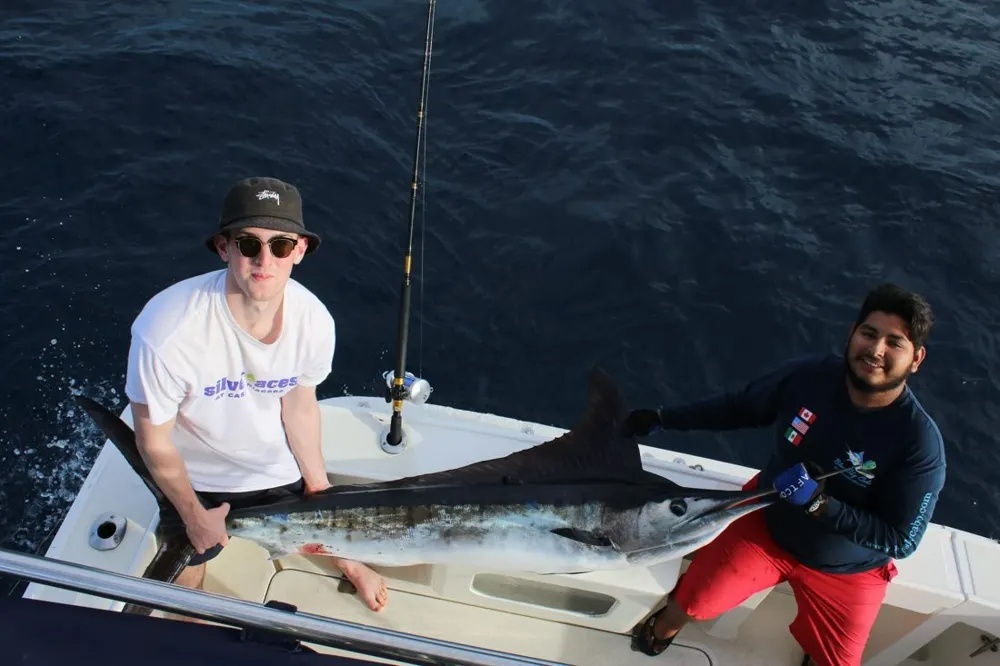 Marlin Explosions Meet Dorado Thunder