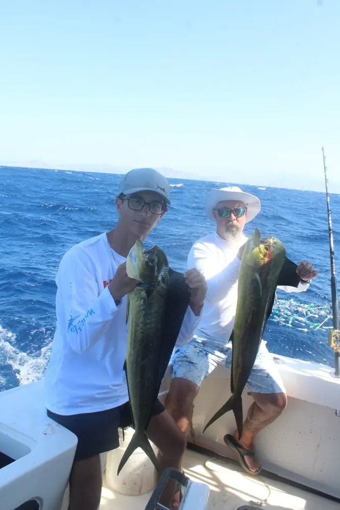 Cabo's Dorado Excitement Keeps Rolling!