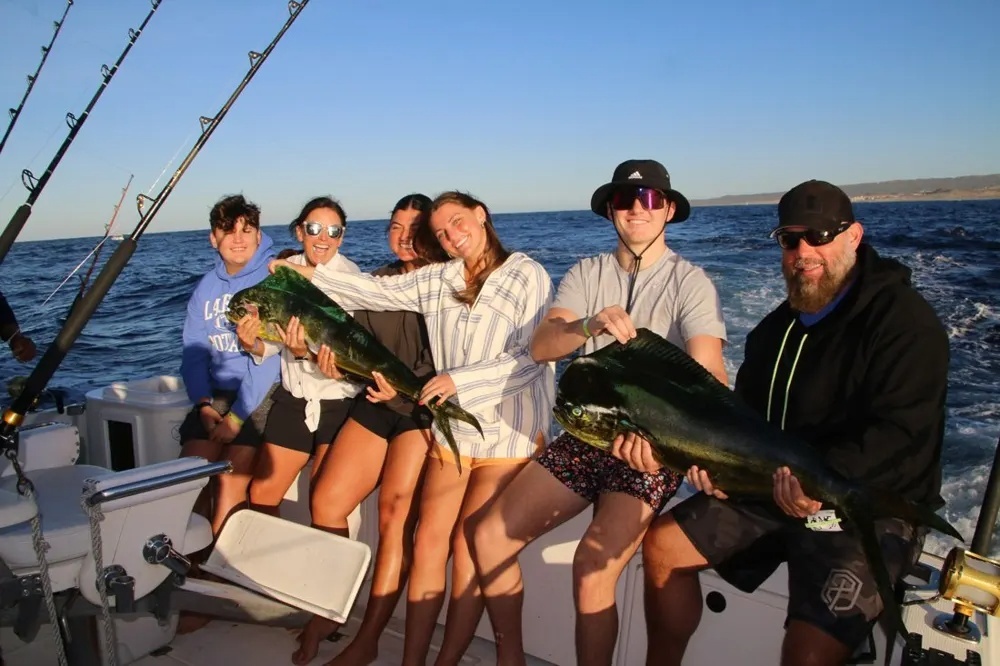 Cabo's Dorado Bite Is Heating Up!