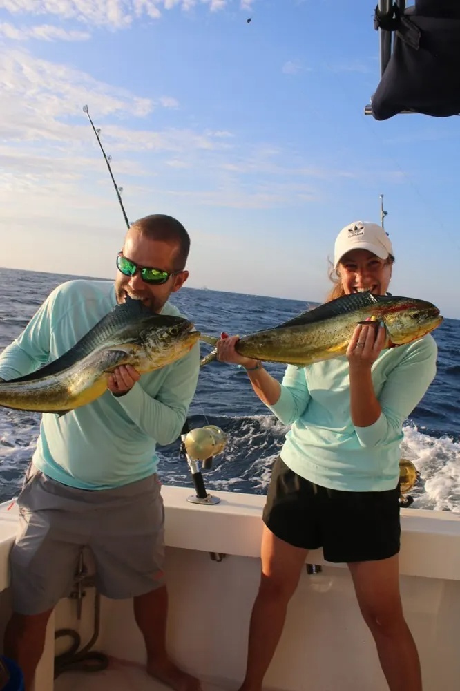 Marlin Fury Meets Dorado Gold