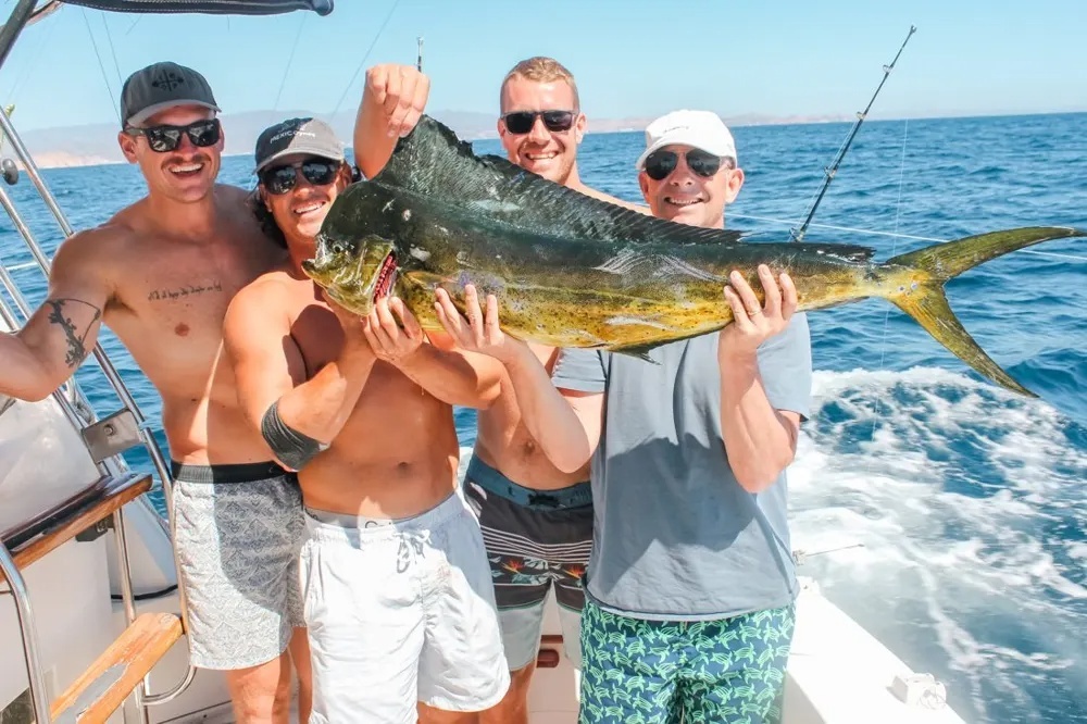 Dorado Action Explodes Offshore!