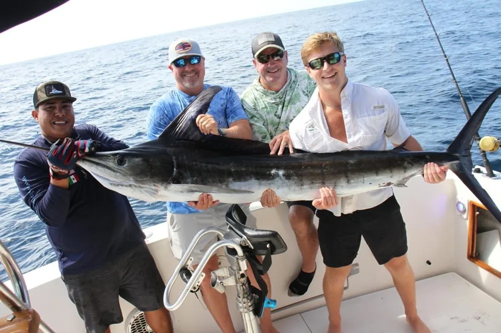 Marlin Madness and Dorado Gold Take Center Stage
