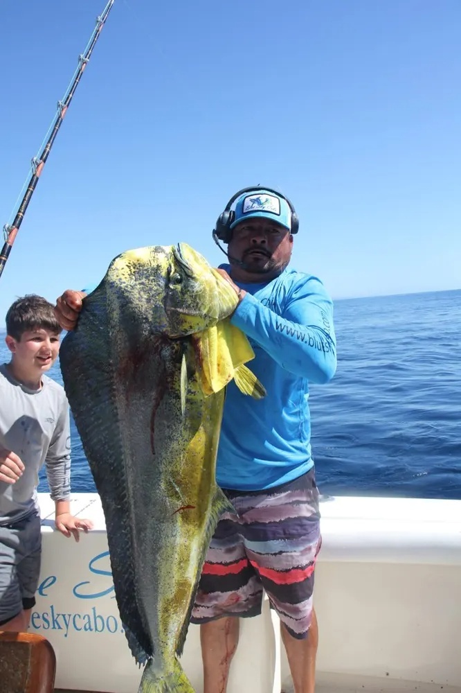 Offshore Dorado Action Gets Intense!