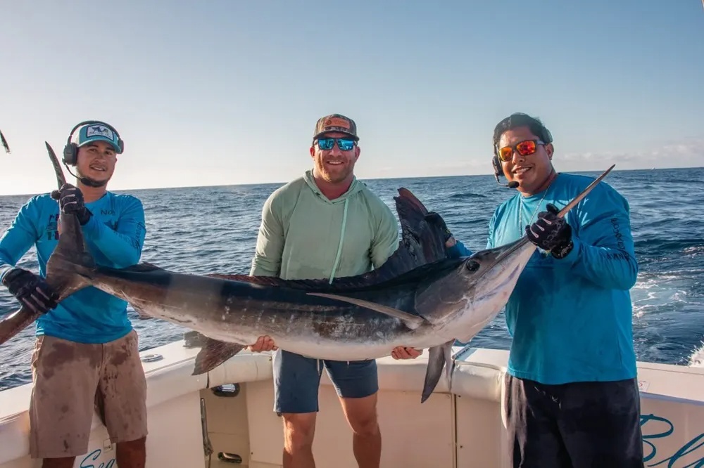 Cabo Marlin Adventure Delivers Again!