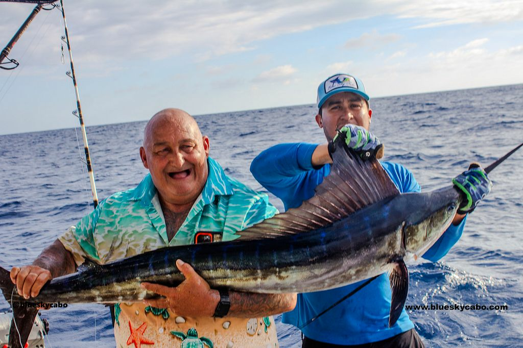 Marlin Action and Dorado Gold Rush