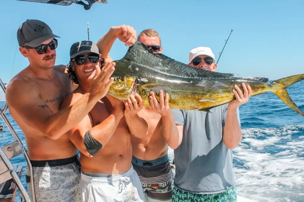 Dorado Strike Sparks Offshore Excitement!