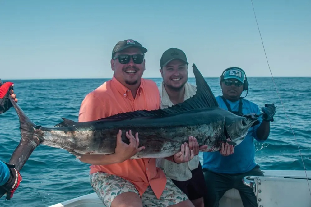 Marlin and Dorado – The Offshore Dream Team
