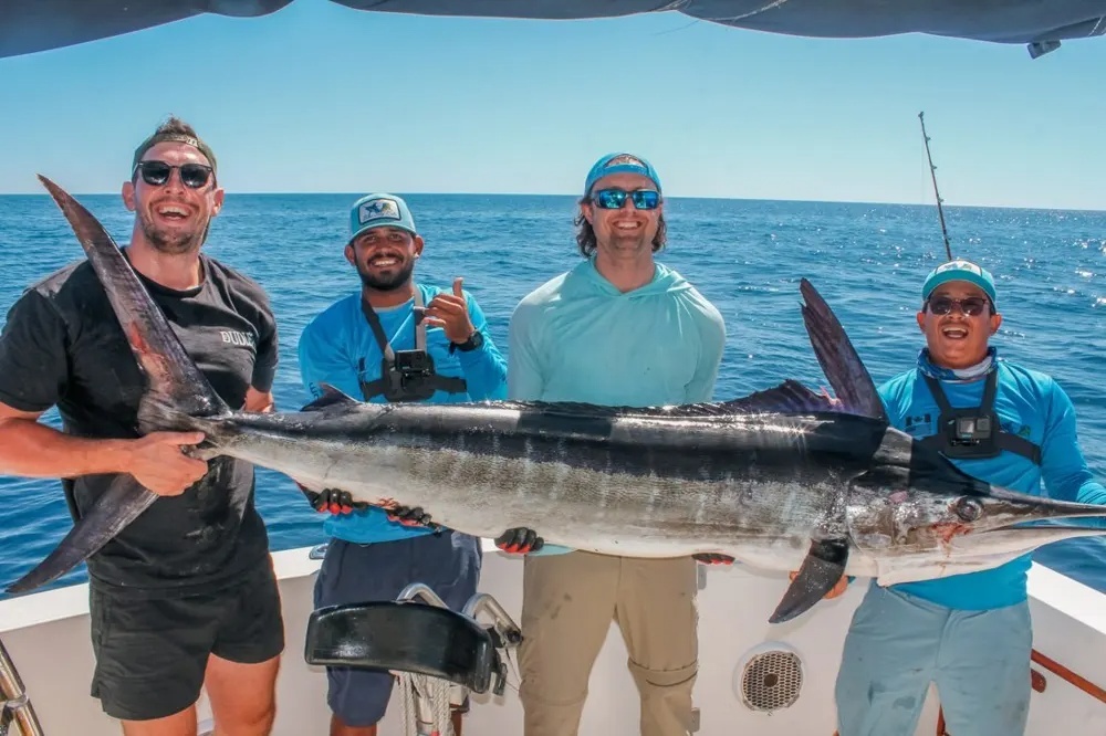 Marlin Screaming Reels and Dorado Gold
