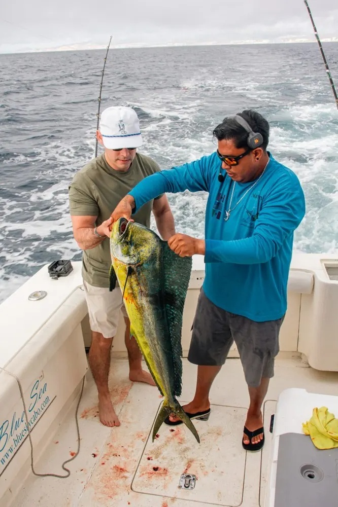 Cabo Dorado Action Hits Another Gear!