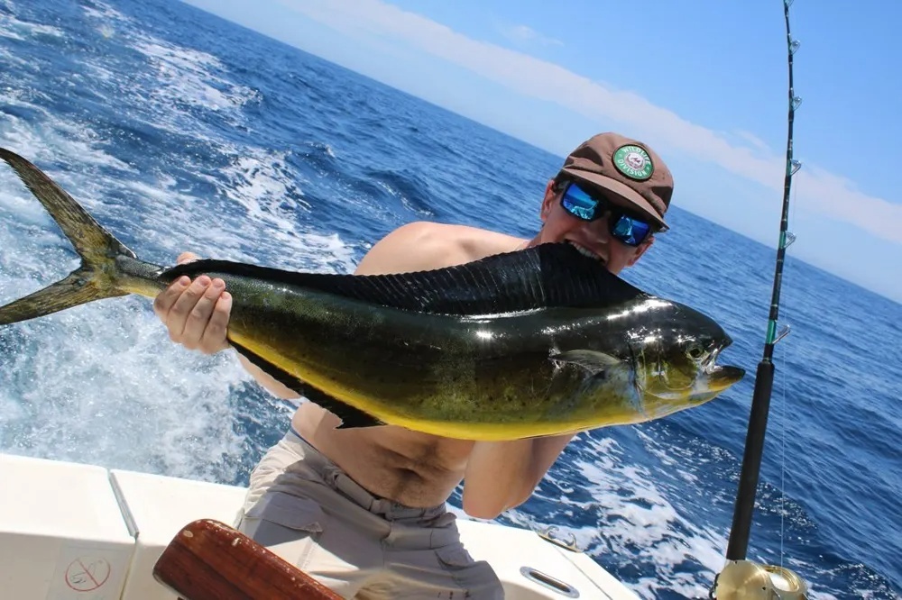 Cabo Dorado & Tuna Catch Delivers Excitement!