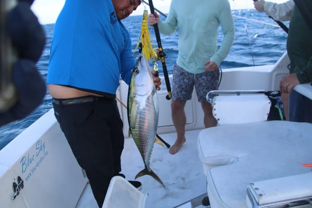 Tuna Fishing Comes Alive at San Jaime