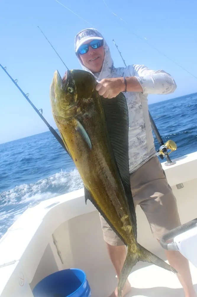 Marlin and Dorado – An Explosive Cabo Combination