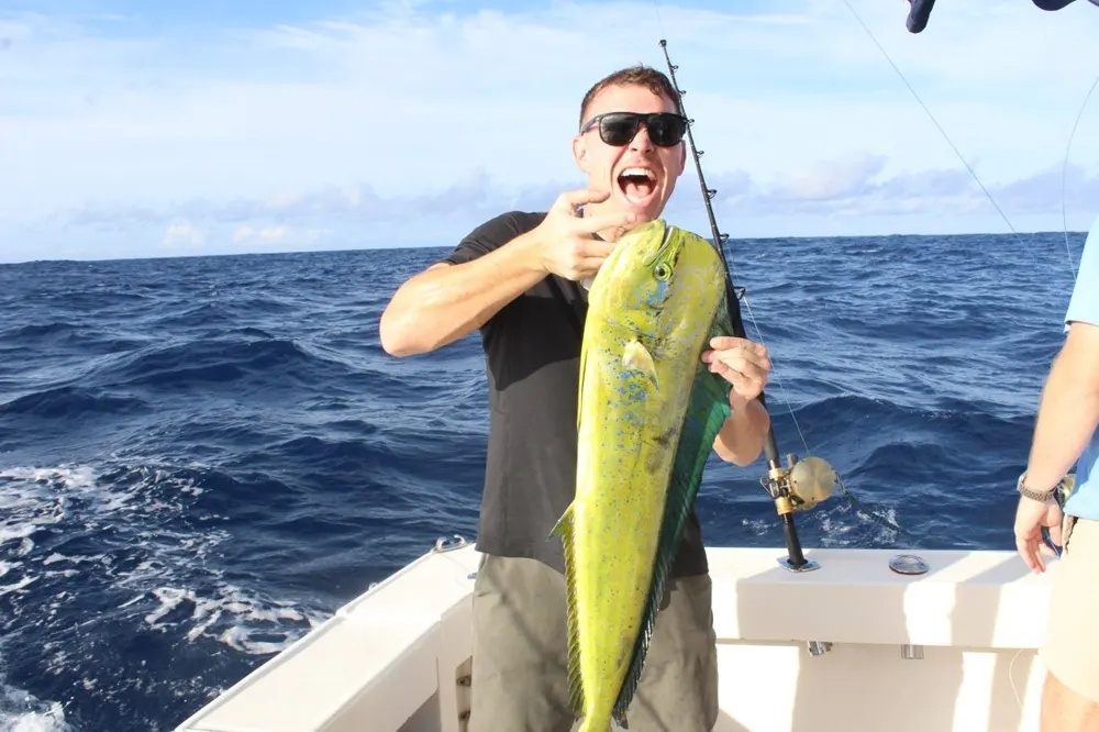 Marlin Fire and Dorado Gold Take Over