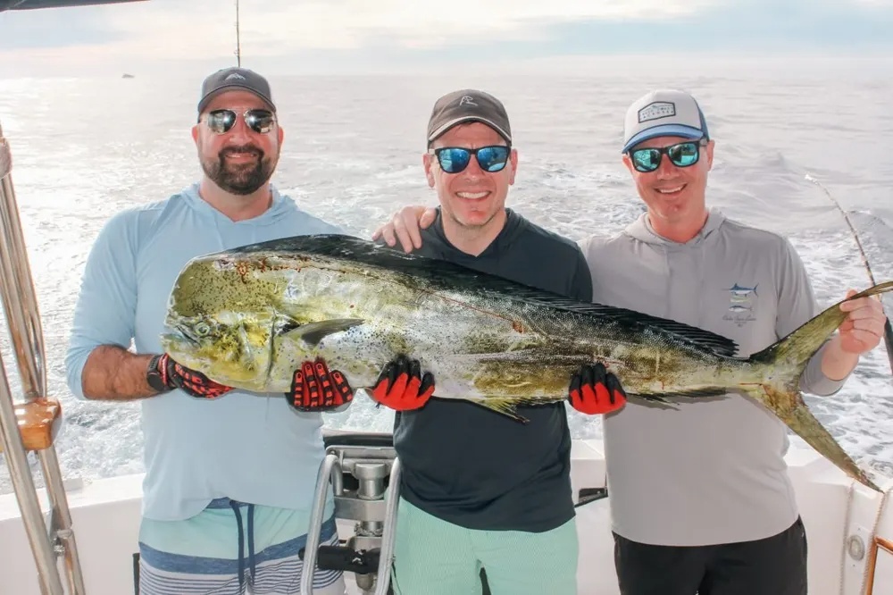 Marlin and Dorado – A Double Dose of Cabo Excitement