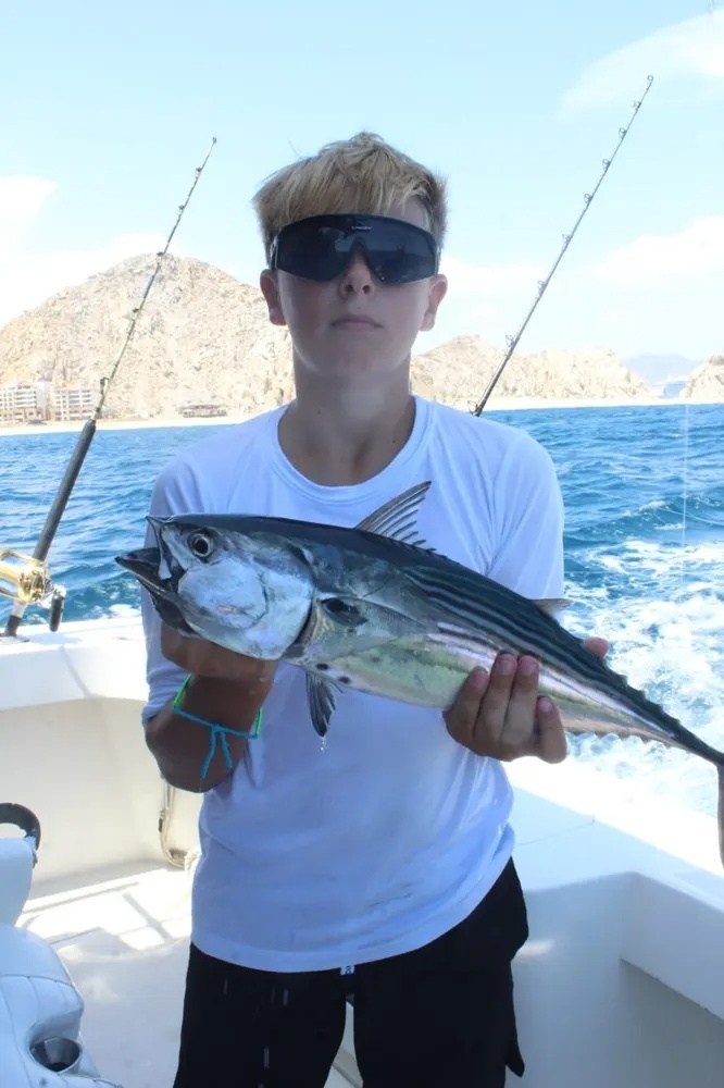 Yellowfin Tuna Deliver Offshore Excitement