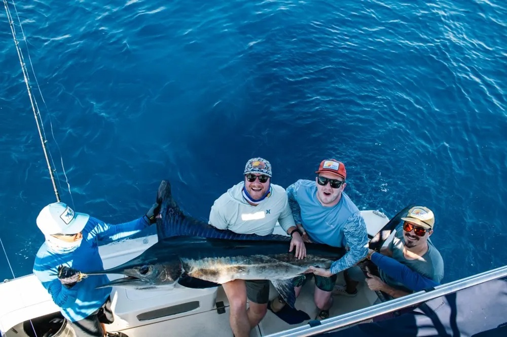 Cabo's Marlin Bite Goes Wild!