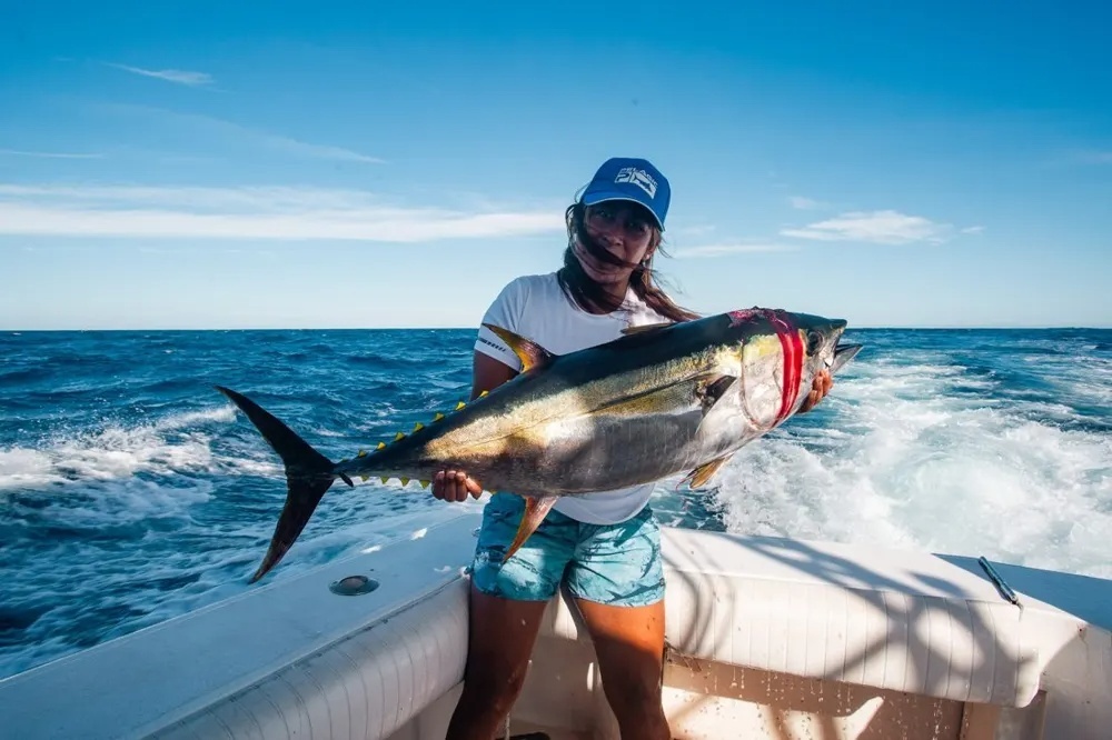 Cabo Tuna & Dorado Bite Ignites Offshore