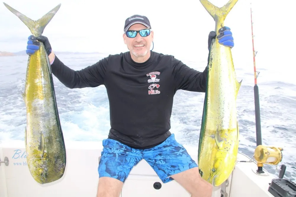 Marlin and Dorado – The Golden Offshore Double