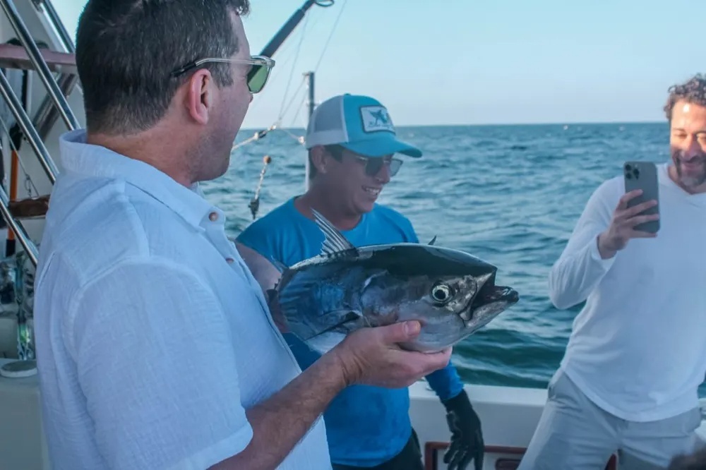 Yellowfin Tuna Light Up the Fishing Grounds