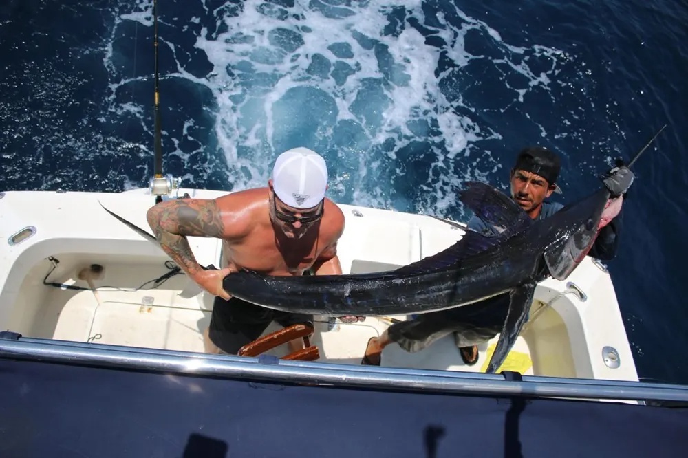 Marlin Hookup Delivers an Unforgettable Moment!