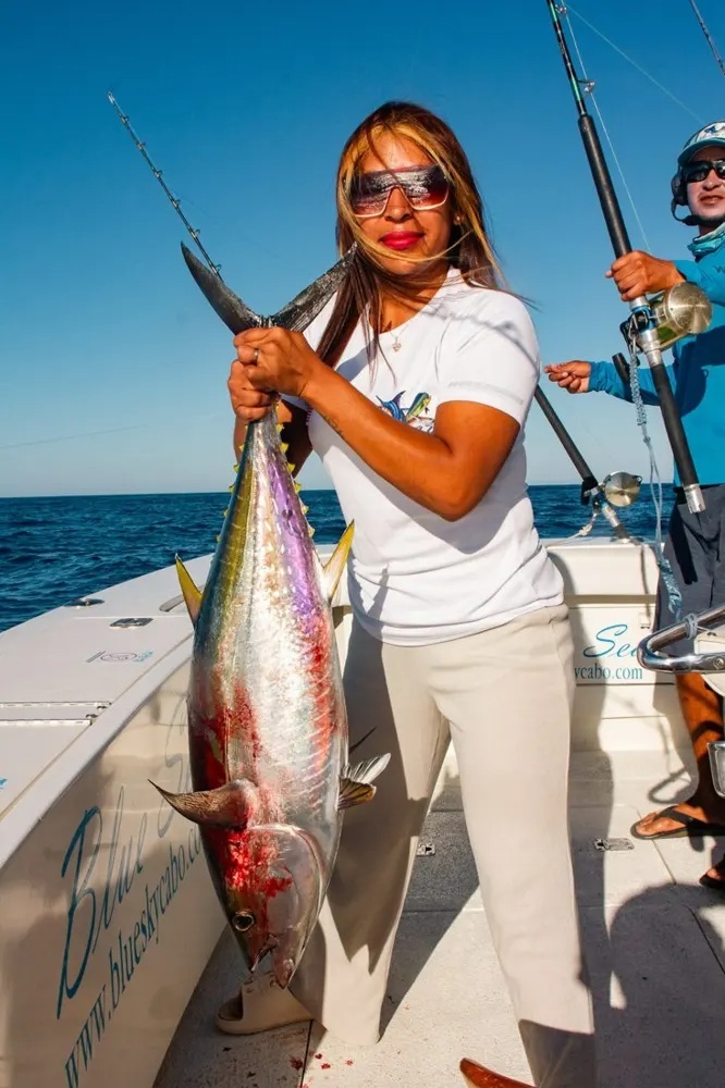 Marlin Action and Tuna Chaos