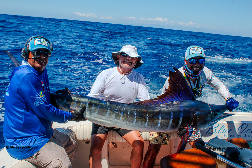 Marlin Hookup Turns Up the Excitement!