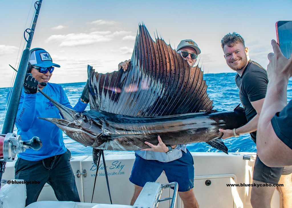 Marlin Catch Creates an Incredible Memory!