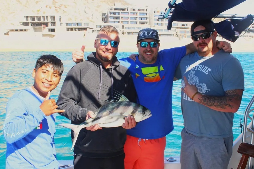 Roosterfish Battles and Fighting Action